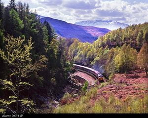 The West HIghland line cuts through ferns and purple heather with mountain views in the background